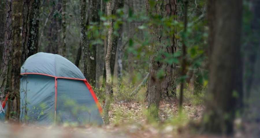 How to keep spiders out of your tent