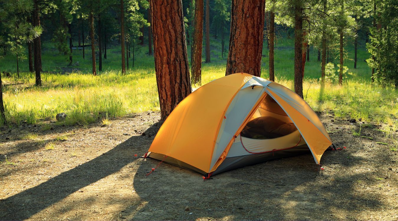 What Is a Tent Vestibule [EXPLAINED] TruCampers